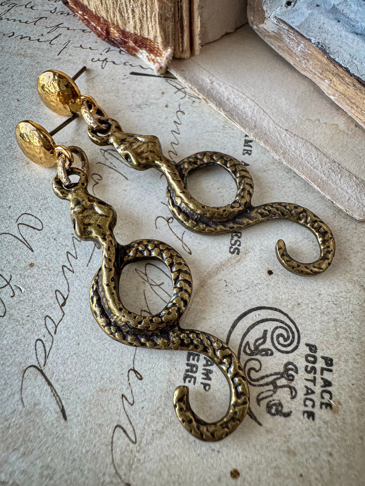 The Serpents Path Earrings